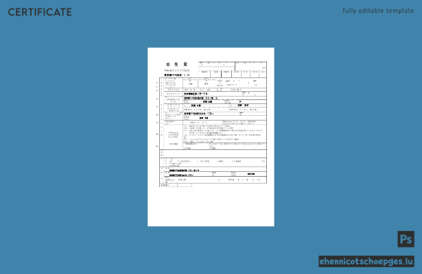 Japanische Geburtsurkunde im Word- und PDF-Format – Beispielvorschau